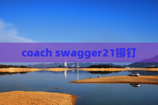 coach swagger21铆钉